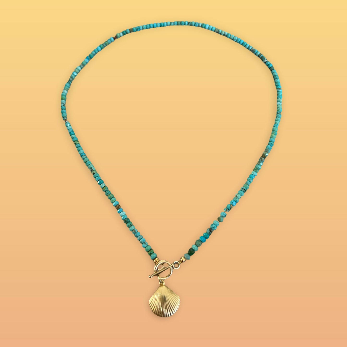 Turquoise Seashell π Charm Necklace