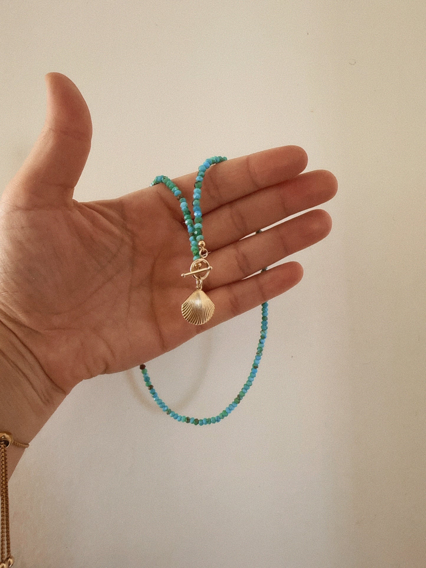 Turquoise Seashell π Charm Necklace